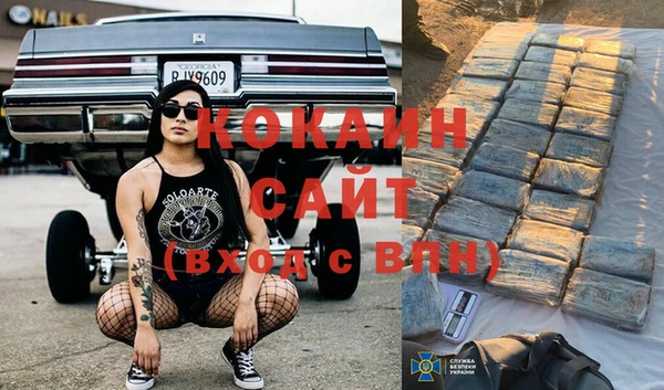 Альфа ПВП Бородино