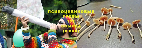 Альфа ПВП Бородино