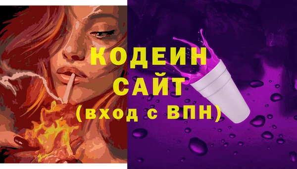 Альфа ПВП Бородино