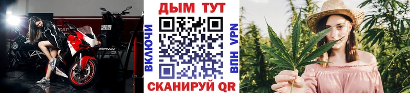 Купить закладки  Куровское  Марихуана гибрид 